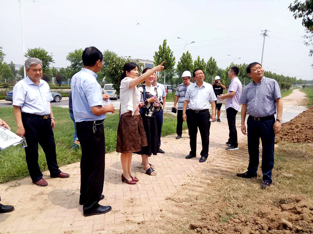 市、區(qū)領導參觀泰投創(chuàng)新生態(tài)社區(qū)科技園項目